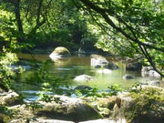 Promenade La Glane (5)